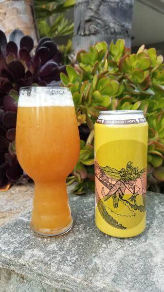 Duck Foot Goofy Regular Hazy IPA