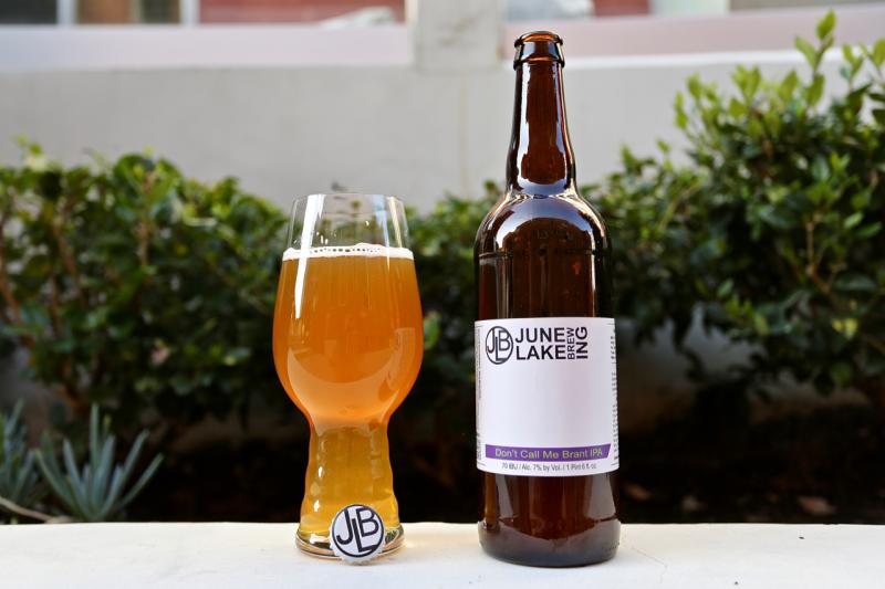 Don't Call Me Brant IPA