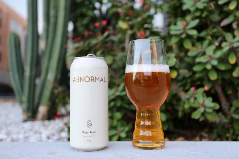 Abnormal Beer Company